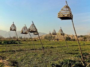 instead-of-an-ipod-workers-in-the-field-bring-their-song-birds-to-entertain-them-through-the-day