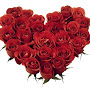 Red_roses