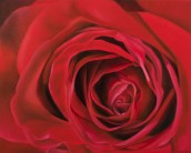 DSC1357-600-x-800-x-72-dpi-172x138