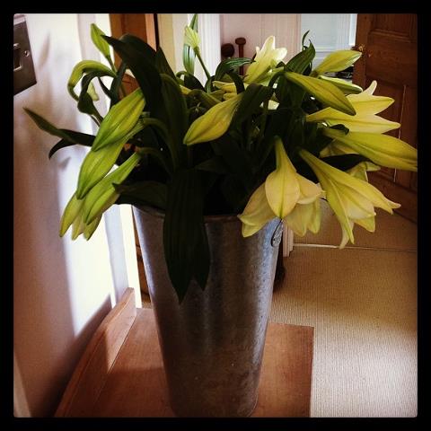 183142_10151628649254976_1748639233_n