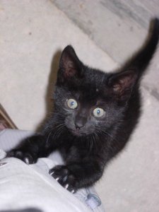 199952_4950143938_9418_n