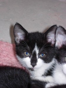 207660_4950138938_9176_n