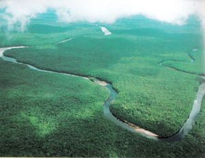 orinoco-river